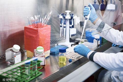 中國(guó)生物技術(shù)在癌癥早篩領(lǐng)域的技術(shù)研發(fā)與轉(zhuǎn)讓前景